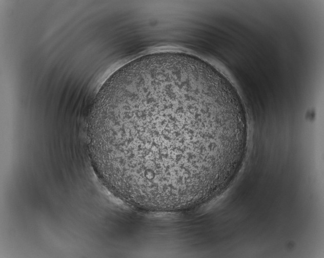 X0000115260953200911201702