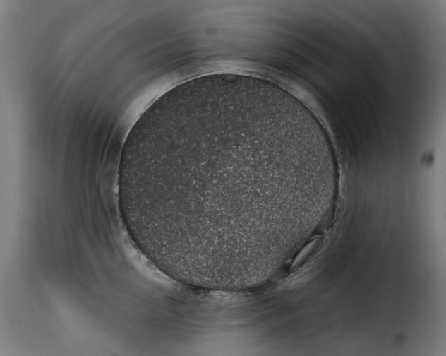 X0000115260954200911201702