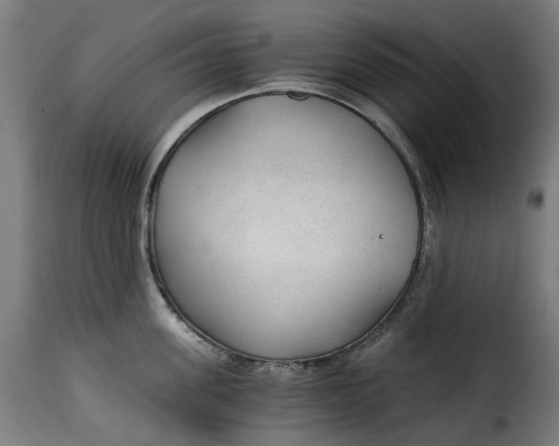 X0000115260955200911201702