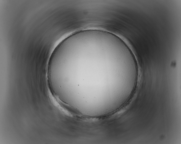 X0000115260957200911201702
