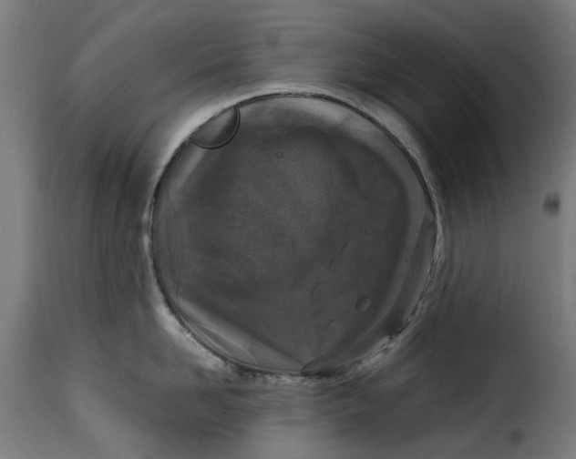 X0000115260958200911201702