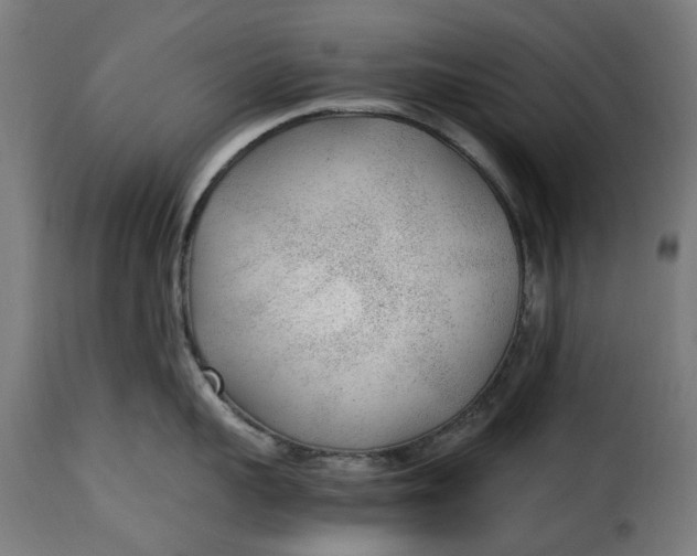 X0000115260959200911201702