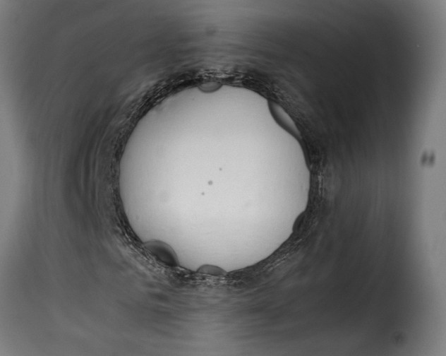 X0000115260961200911201702