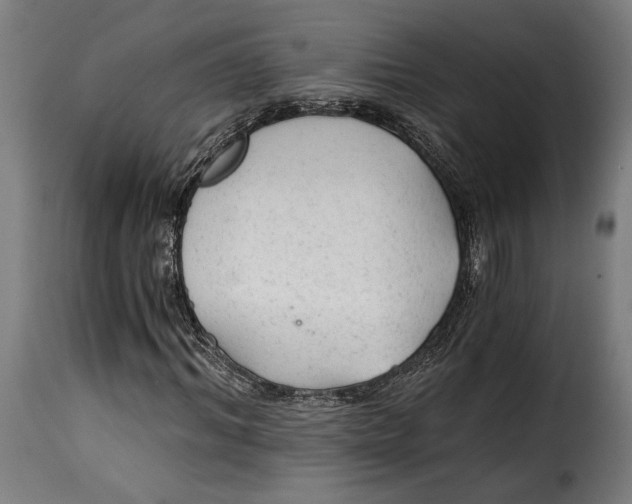 X0000115260964200911201702