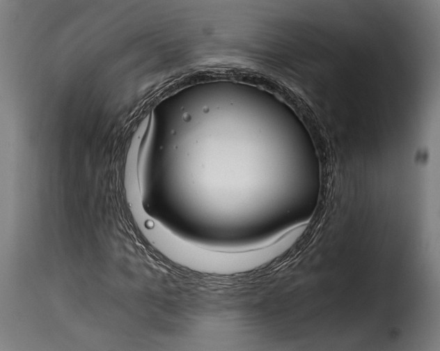 X0000115260965200911201702