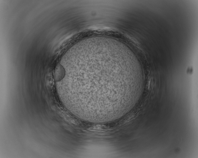 X0000115260966200911201702