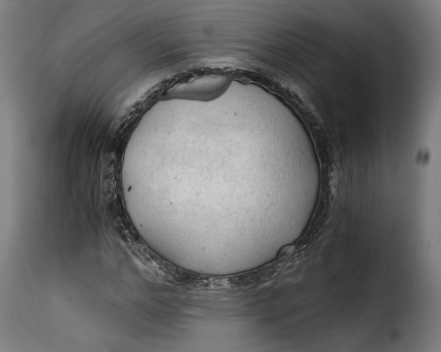 X0000115260968200911201702
