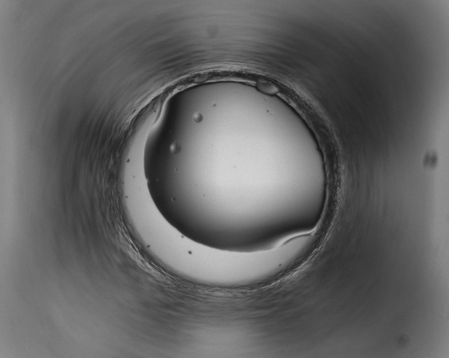 X0000115260969200911201702