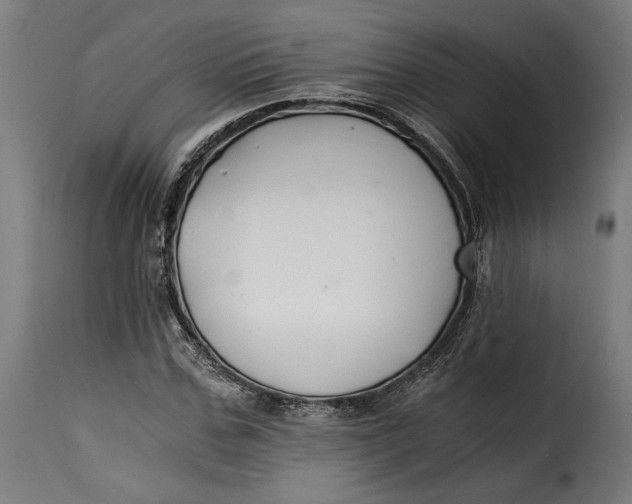 X0000115260971200911201701