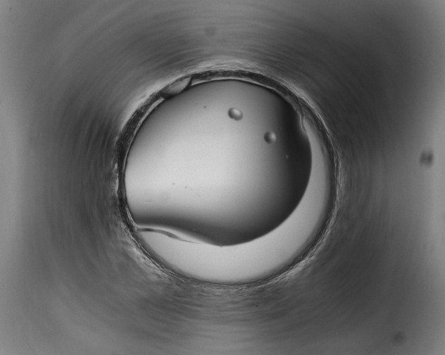 X0000115260973200911201701