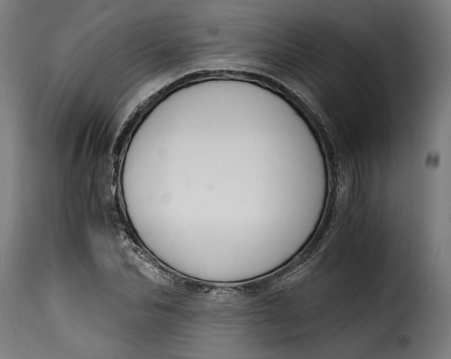X0000115260974200911201701