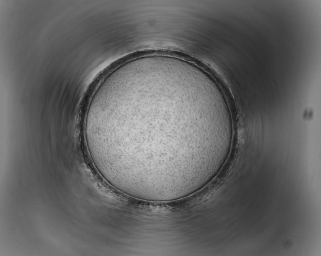 X0000115260975200911201701