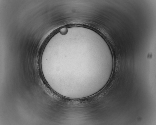 X0000115260976200911201701