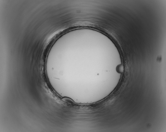 X0000115260979200911201701