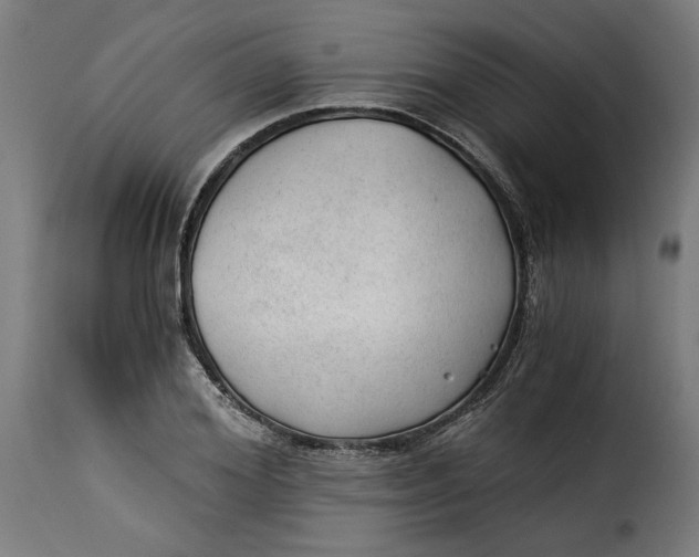 X0000115260980200911201701