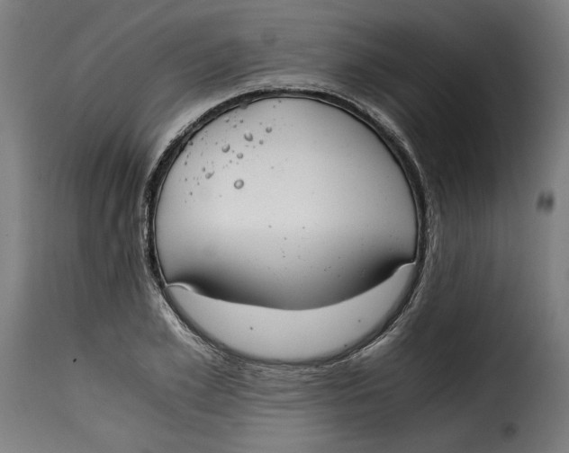 X0000115260981200911201701