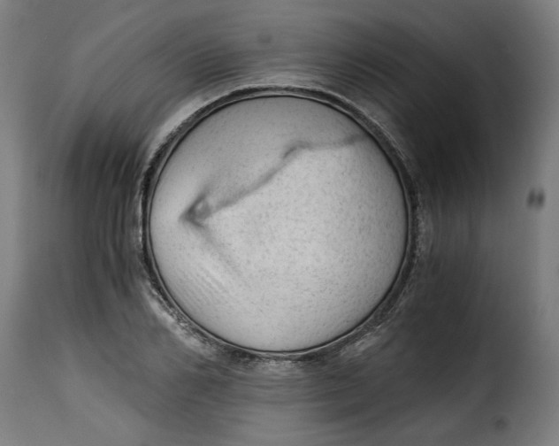X0000115260982200911201701