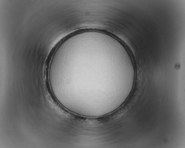 X0000115260983200911201701