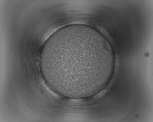 X0000115260985200911201701