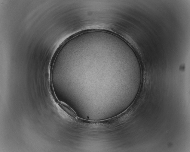 X0000115260988200911201701