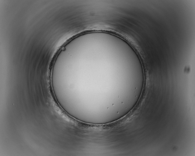 X0000115260990200911201701