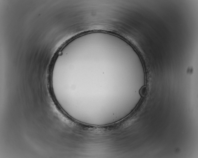 X0000115260991200911201701