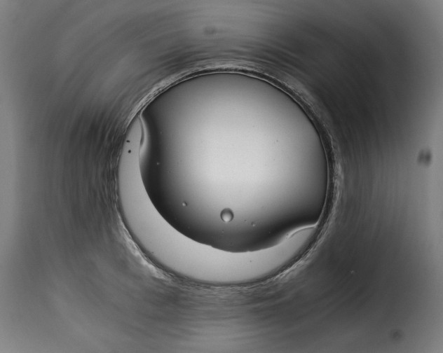 X0000115260993200911201701