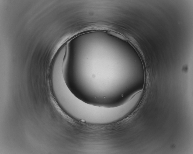 X0000115260997200911201701