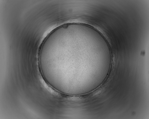 X0000115260998200911201701