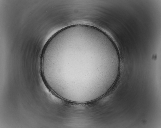 X0000115260999200911201701