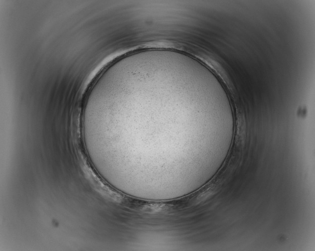 X0000115261000200911201701