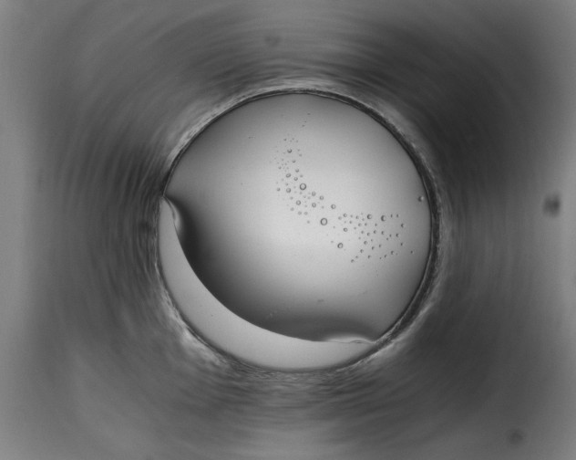 X0000115261001200911201701