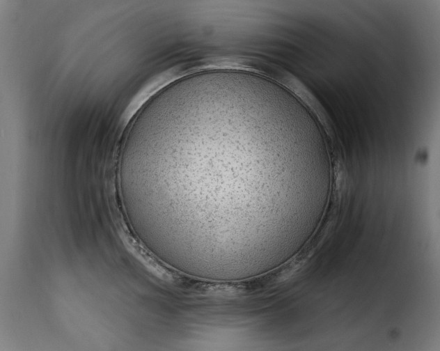 X0000115261002200911201701