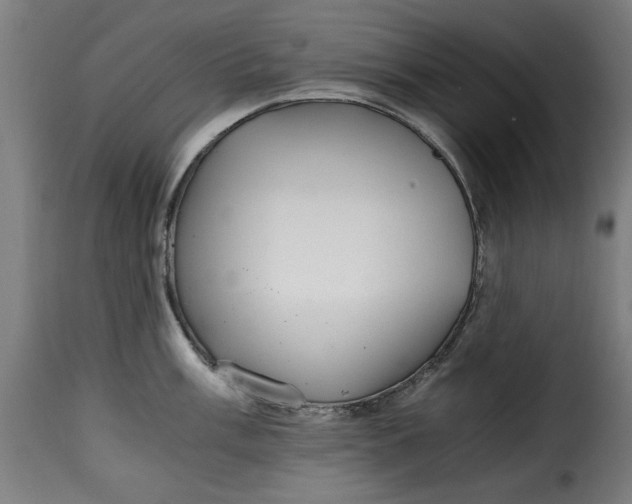 X0000115261003200911201701