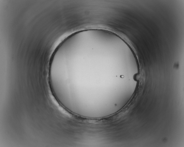 X0000115261005200911201701
