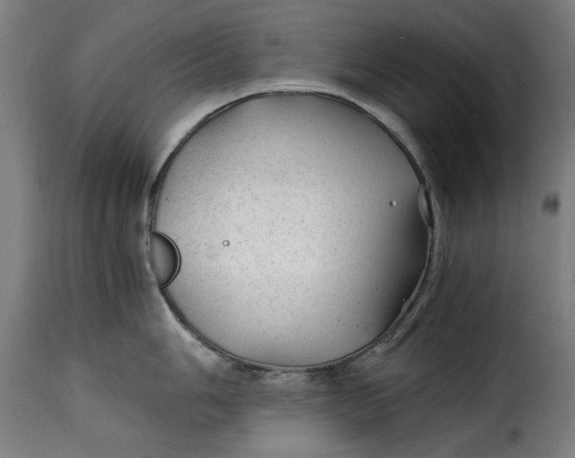X0000115261006200911201701