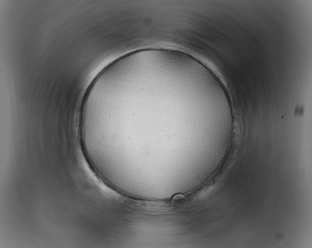 X0000115261007200911201701