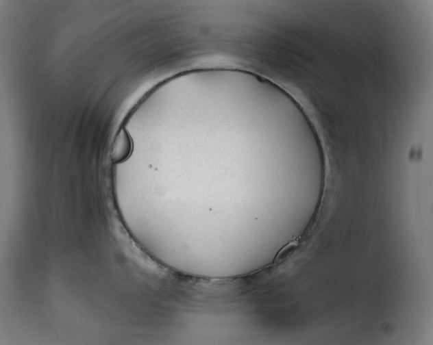 X0000115261008200911201701