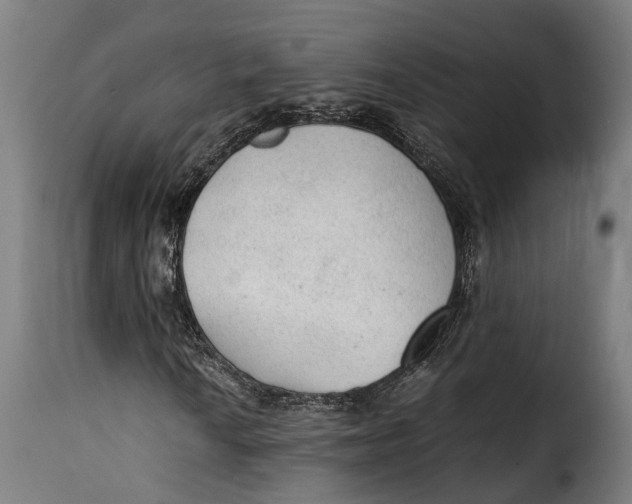 X0000115261010200911201700