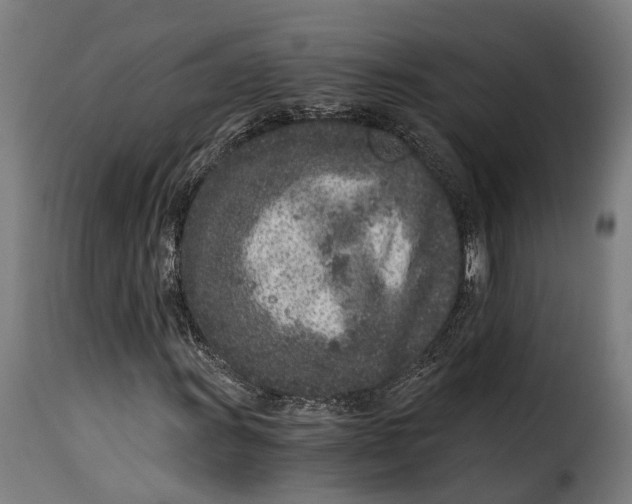 X0000115261011200911201700