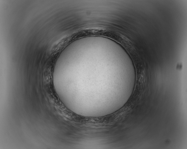 X0000115261014200911201700