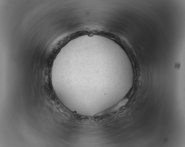 X0000115261016200911201700