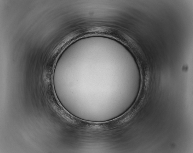 X0000115261017200911201700