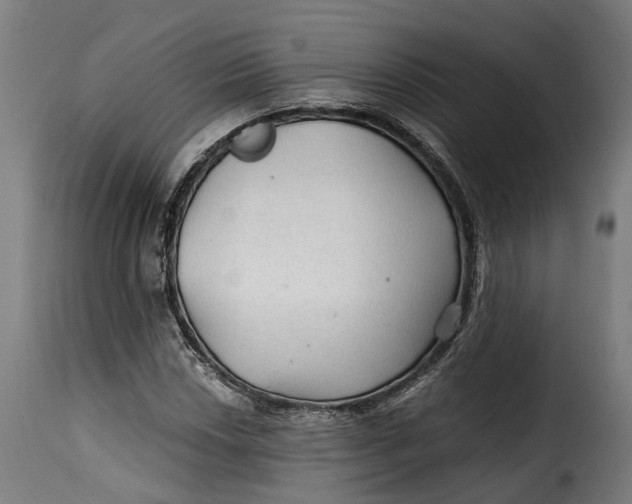 X0000115261018200911201700