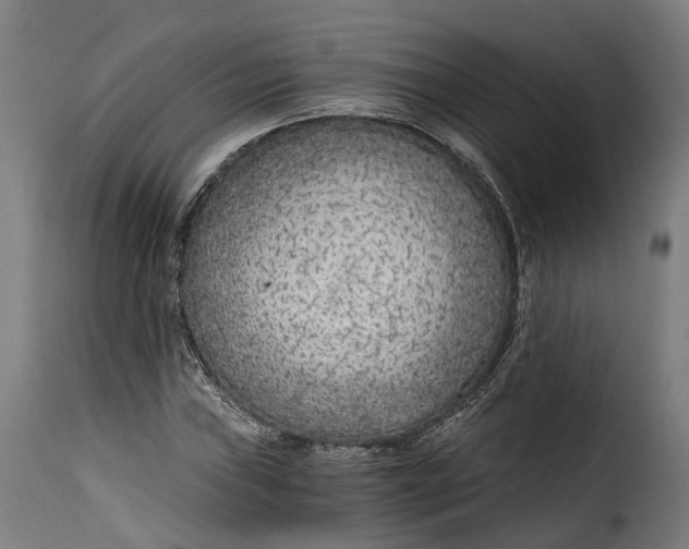 X0000115261019200911201700