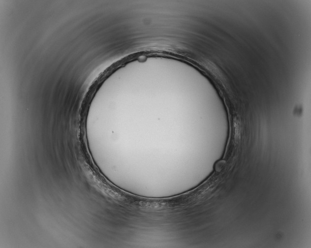X0000115261020200911201700