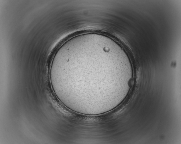 X0000115261021200911201700