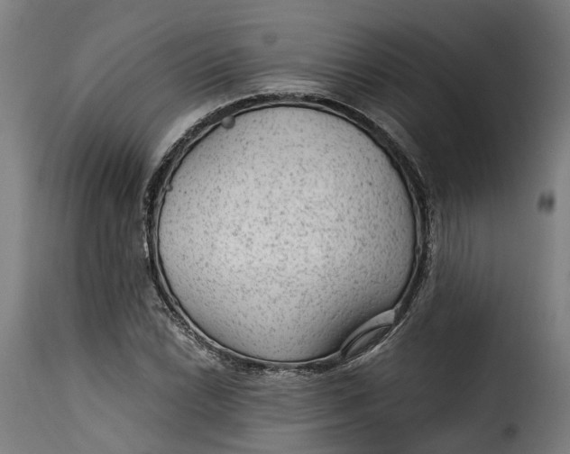 X0000115261022200911201700