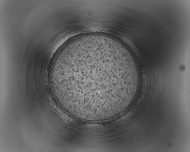 X0000115261023200911201700