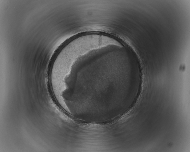 X0000115261024200911201700